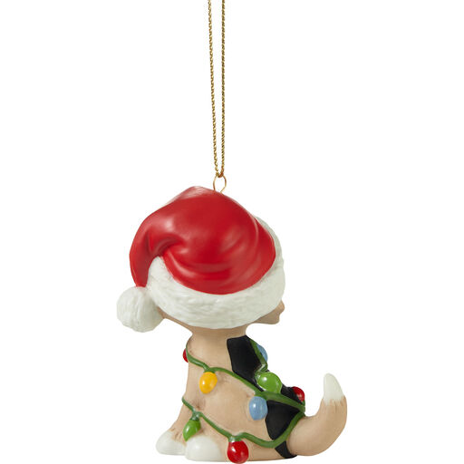 Precious Moments Tangled in Christmas Fun Dog 2023 Ornament, 2.7", 