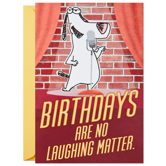 Stand-Up Comedy Animals Funny Birthday Card With Mini Sound Cards