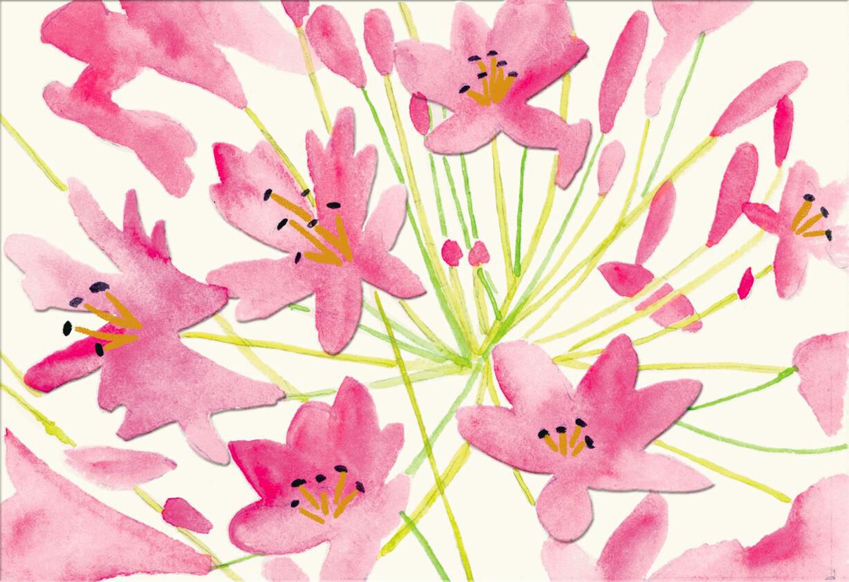 Dena Designs Pink Lilies Blank Thinking of You Card