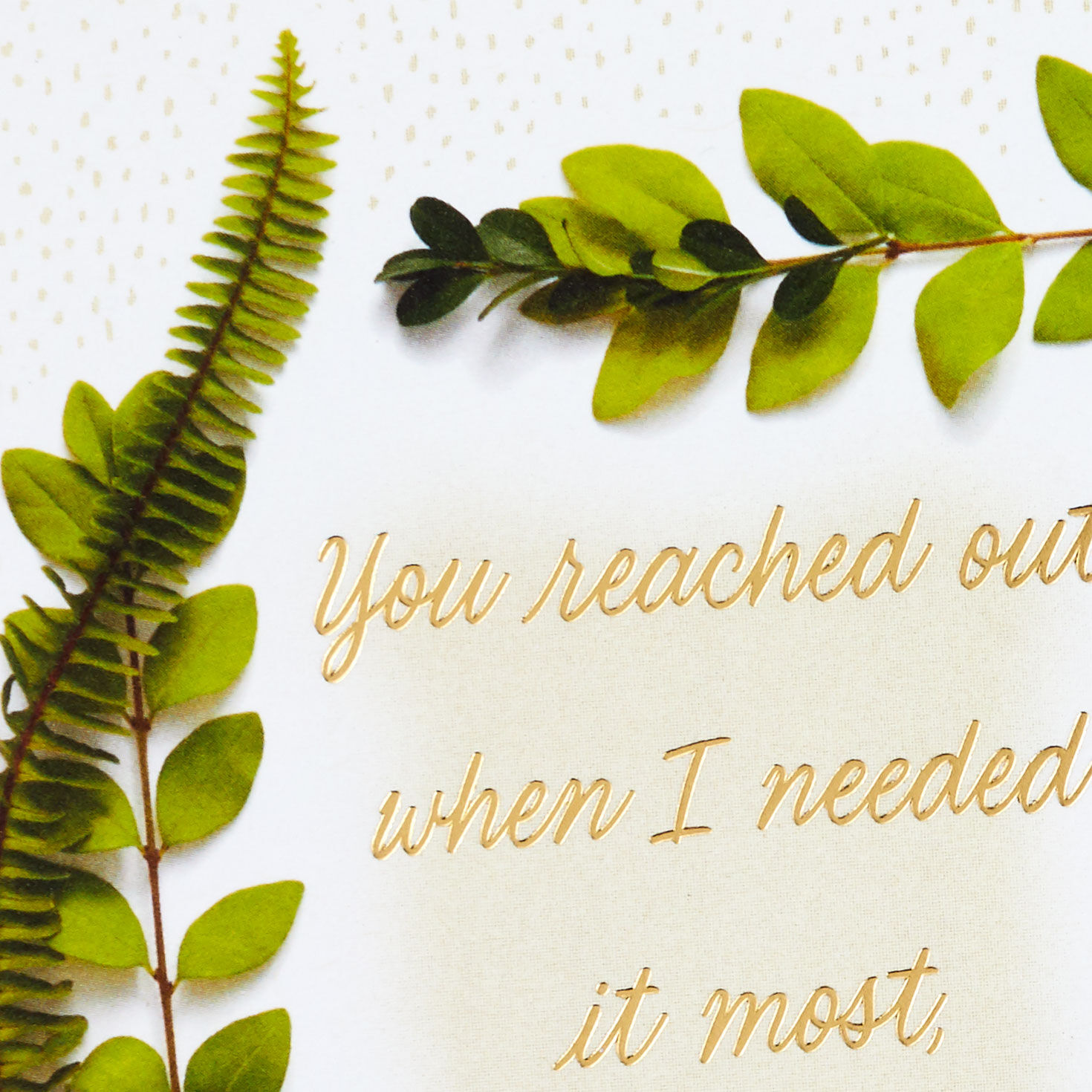 Your Caring Means a Lot Sympathy Thank-You Card for only USD 2.99 | Hallmark