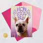 You're the Best Mother's Day Card From the Dog, , large image number 6