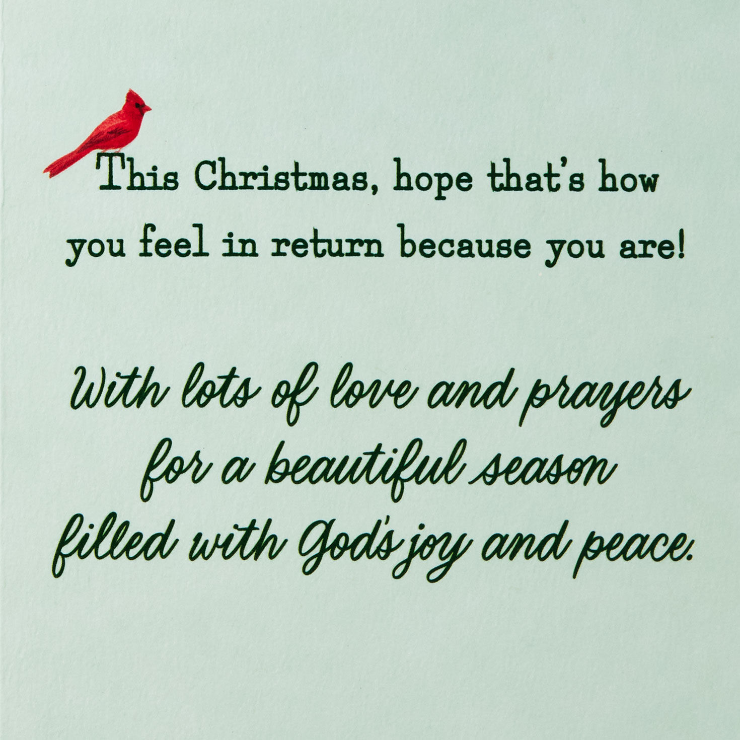 Cardinal on Evergreen Branch Religious Christmas Card Sentiment image number 2