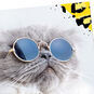 Cool Cat in Sunglasses Blank Card  image number 3