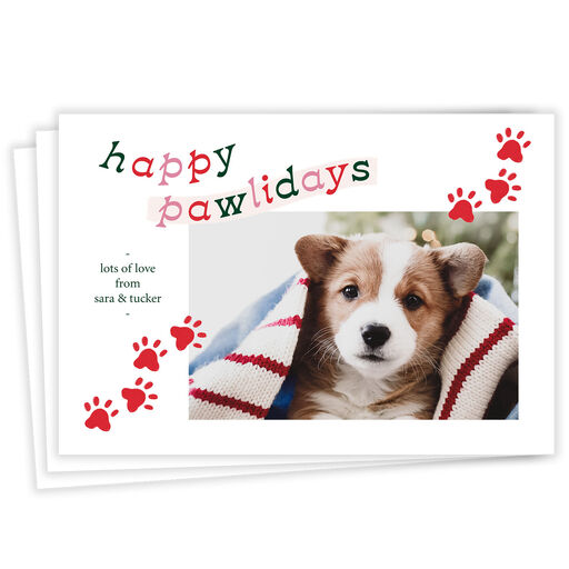 Fun Pawlidays Pet Flat Holiday Photo Card, 