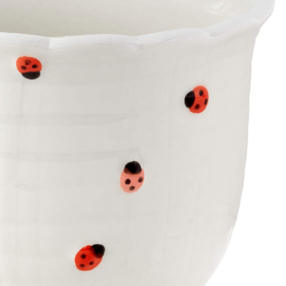 Ladybug Ceramic Planter, , large image number 4