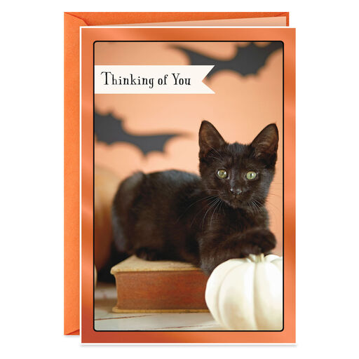 Black Cat Thinking of You Halloween Card, 