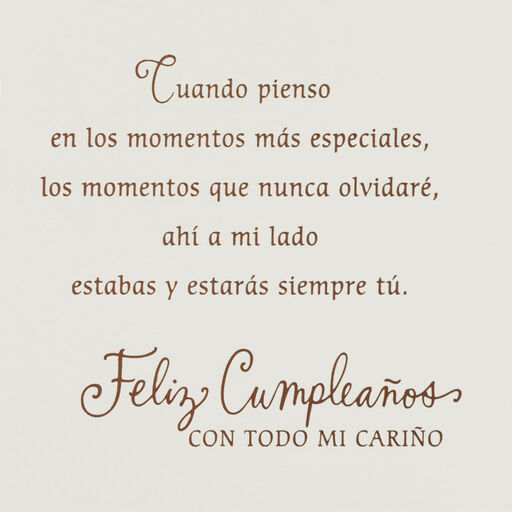 Lifetime of Memories Spanish-Language Birthday Card for Sister, 