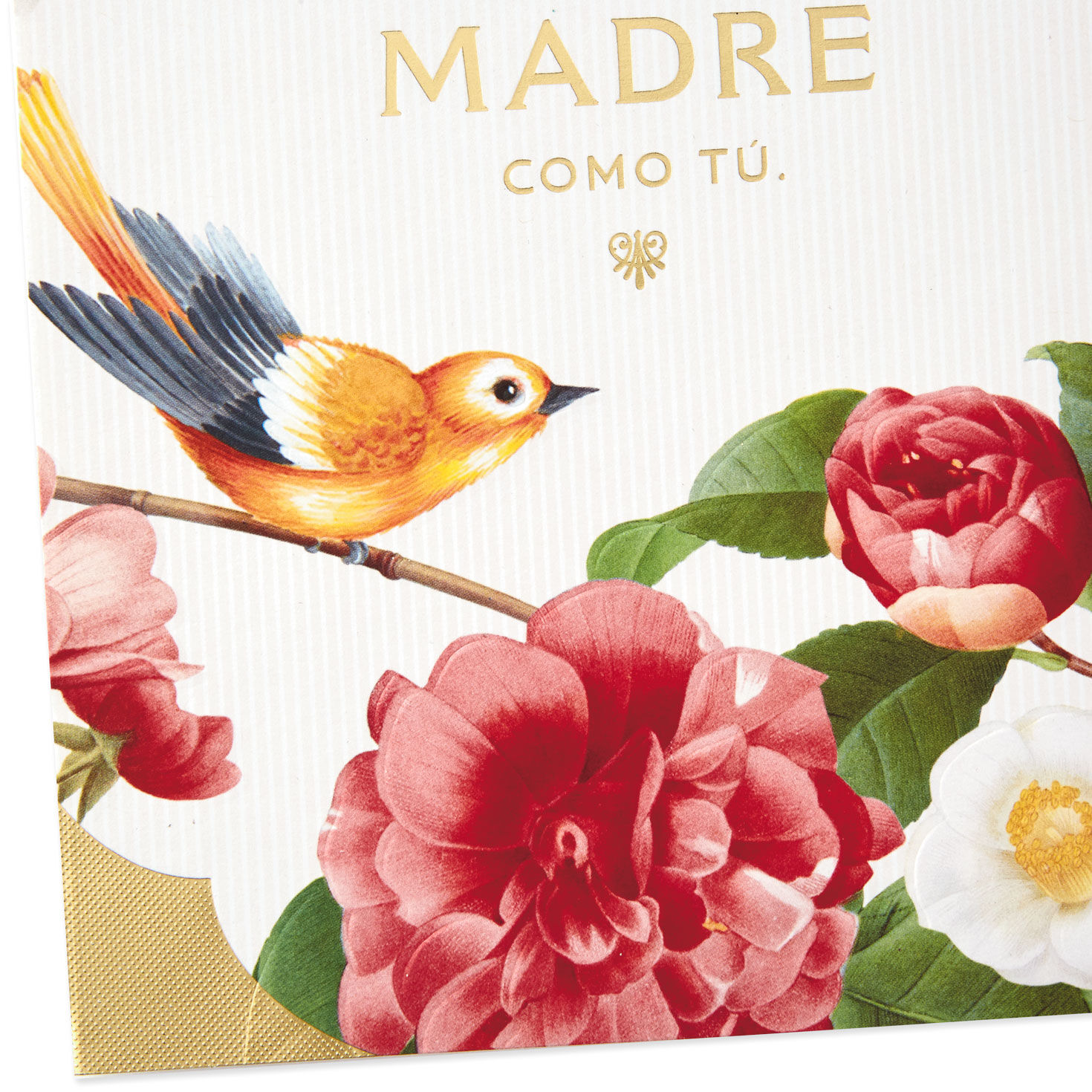 Bird and Flowers Religious Spanish Mother's Day Card Card Front Detail image number 4