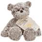 Feel Better Small Giving Bear Stuffed Animal, 8.5", , large image number 1