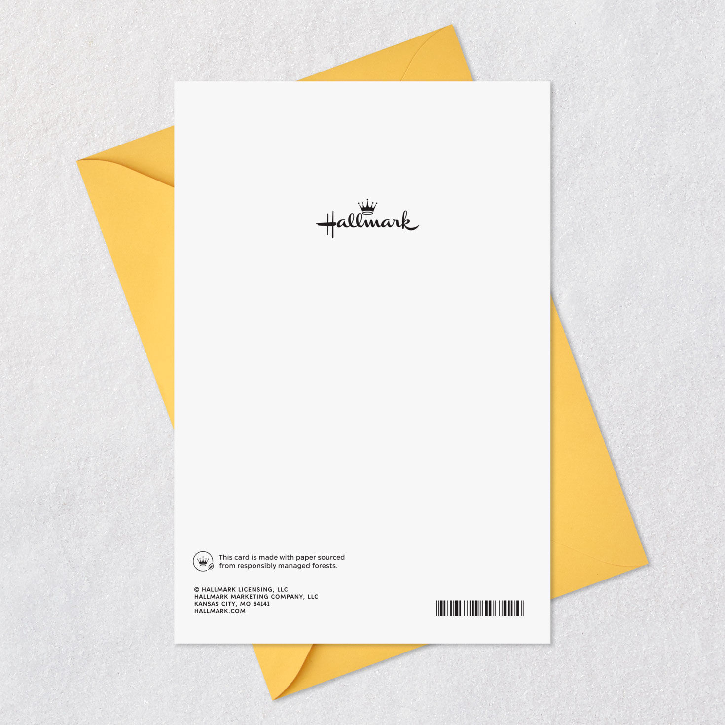 Wishing You a Treat-Filled Celebration Funny Birthday Card, , large image number 10