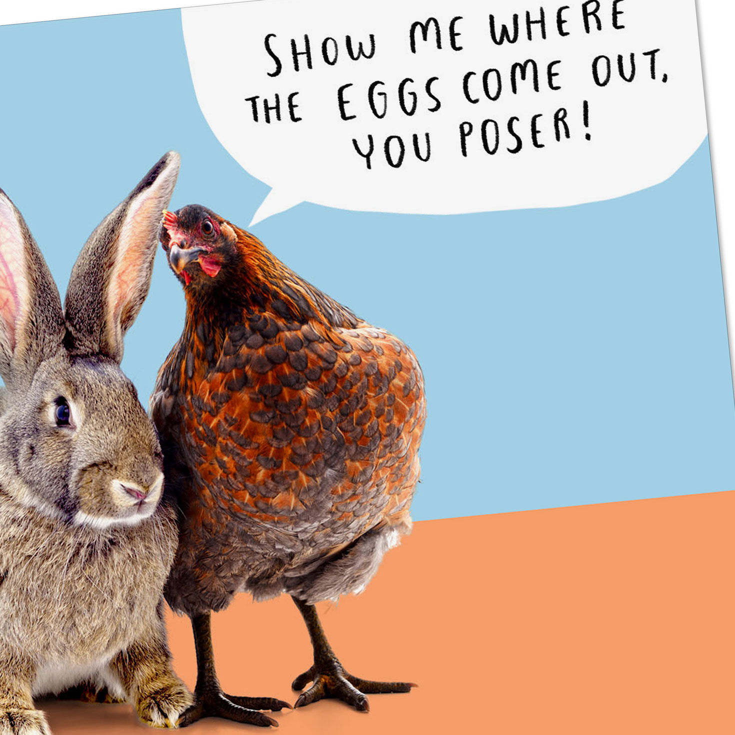 Chicken and Bunny No Butts About It Funny Easter Card, , large image number 4