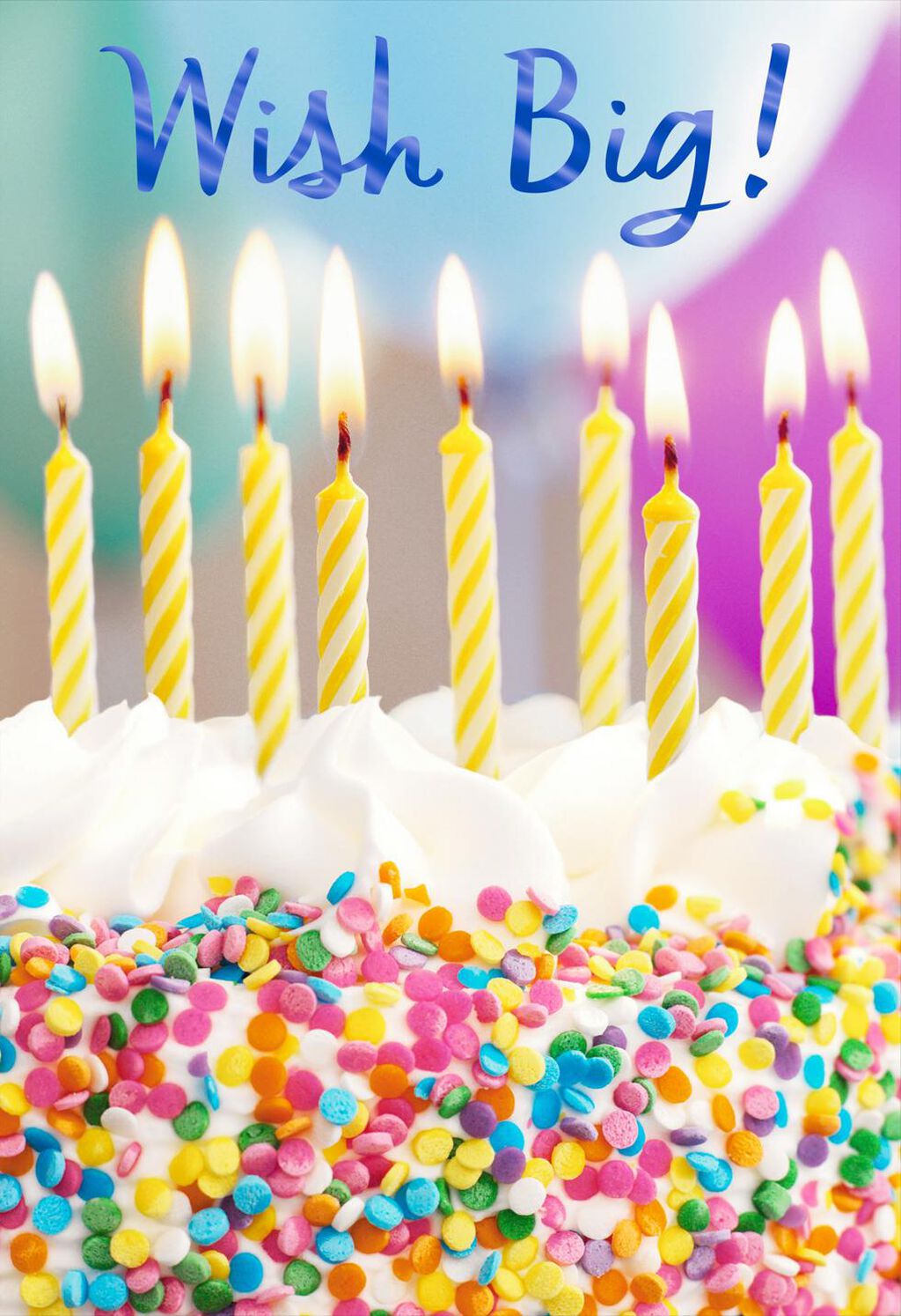 Confetti Cake Wish Big Birthday Card Greeting Cards Hallmark