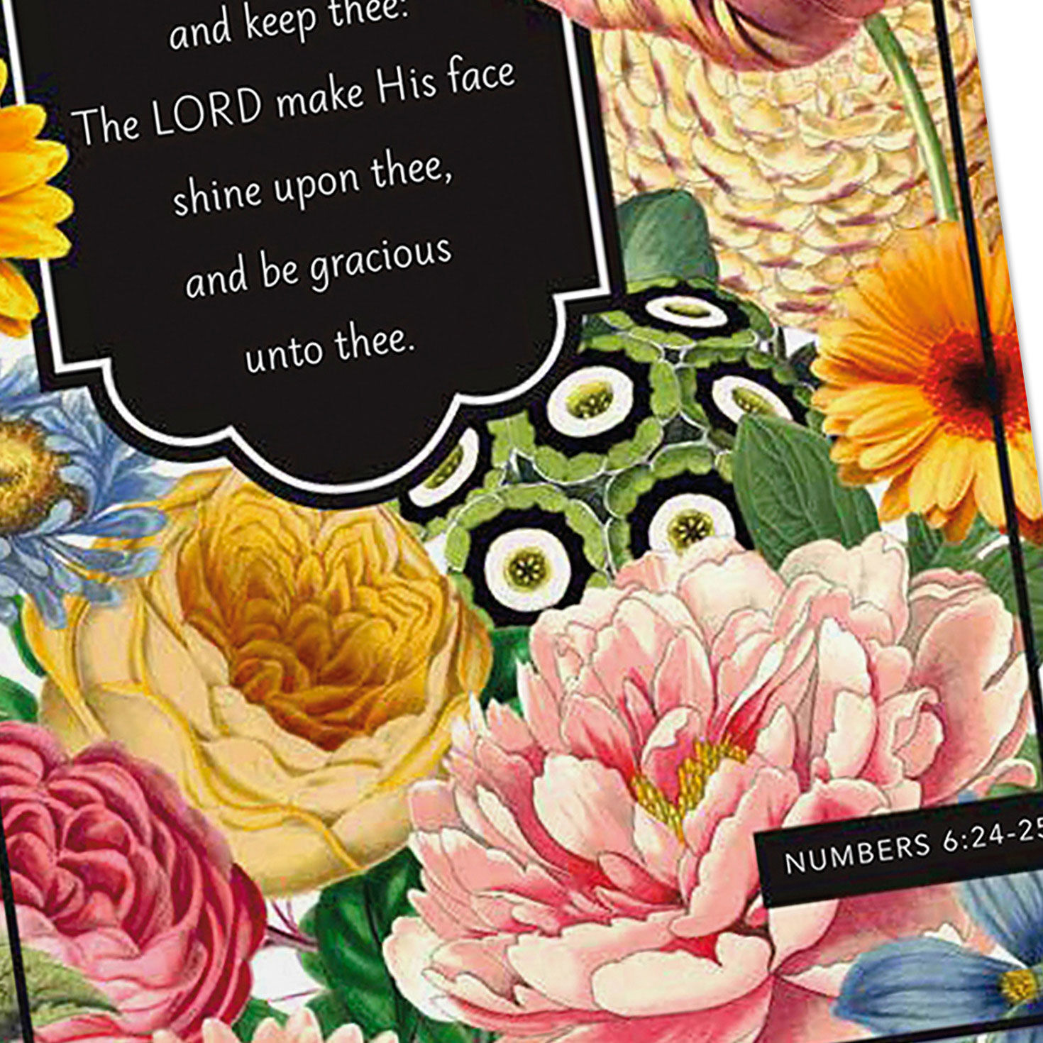 Floral DaySpring Thinking of You Cards Assortment Cover Detail image number 5
