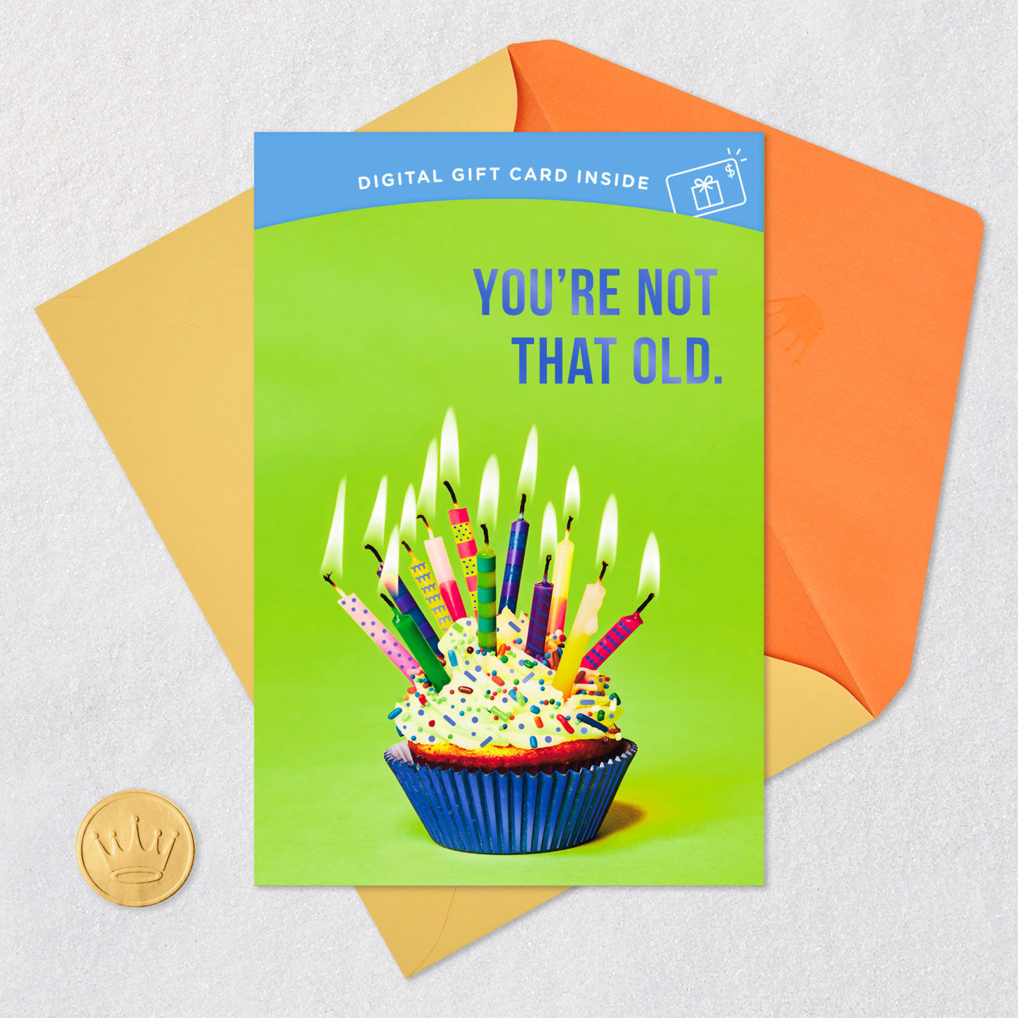 You're Not that Old Gift Card Greeting Funny Birthday Card, , large image number 8