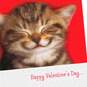 You Make Me Smile Valentine's Day Card, , large image number 4