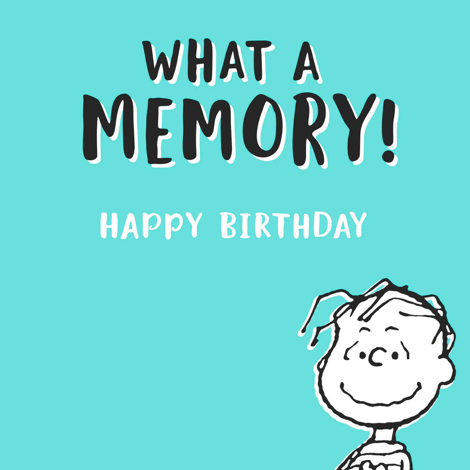 Peanuts® Linus Admitting Your Age Birthday Card Greeting Cards Hallmark