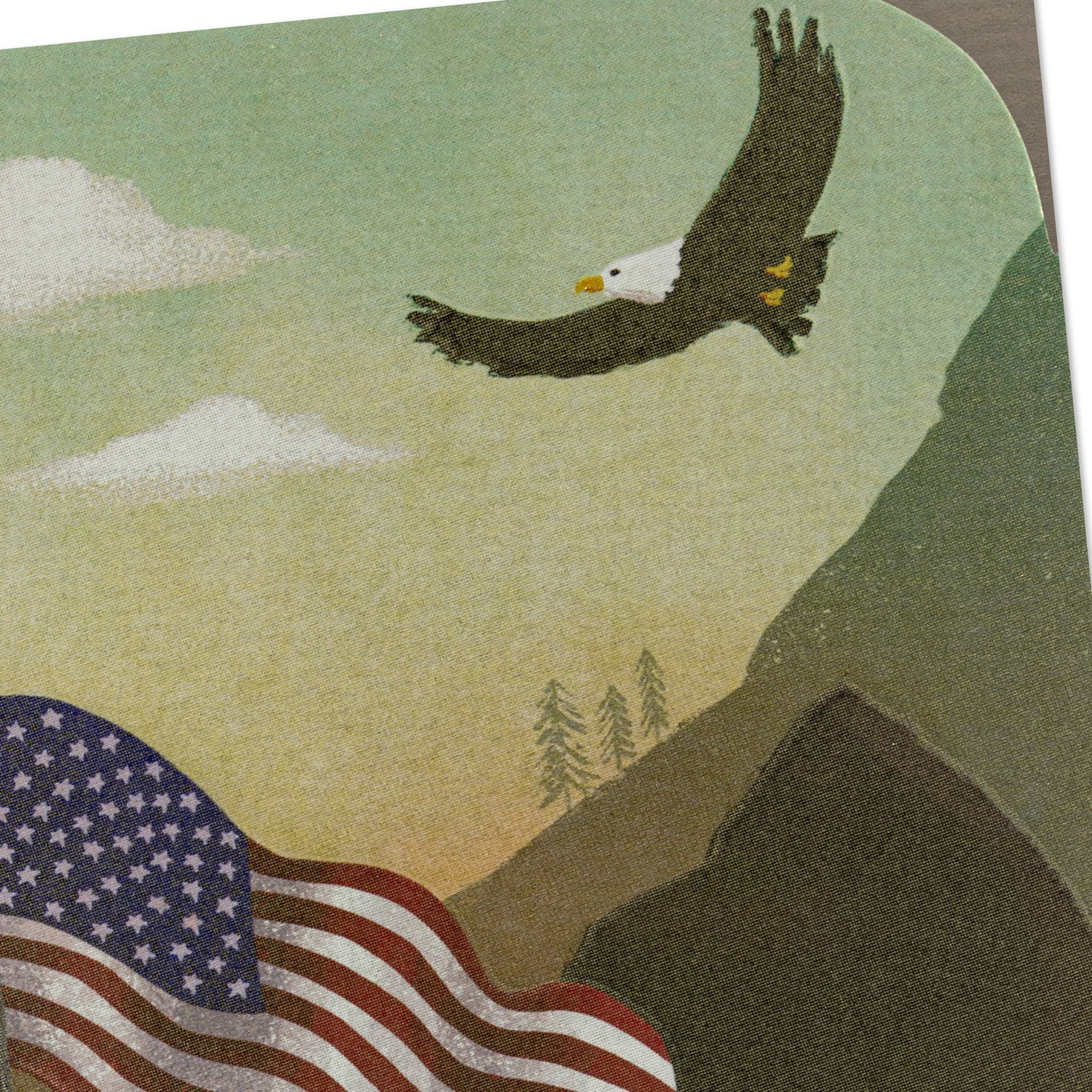 American Flag and Bald Eagle Blank Card Card Front Detail image number 3