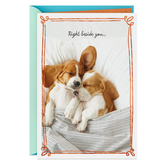 Snuggling Puppies My Favorite Place Love Card