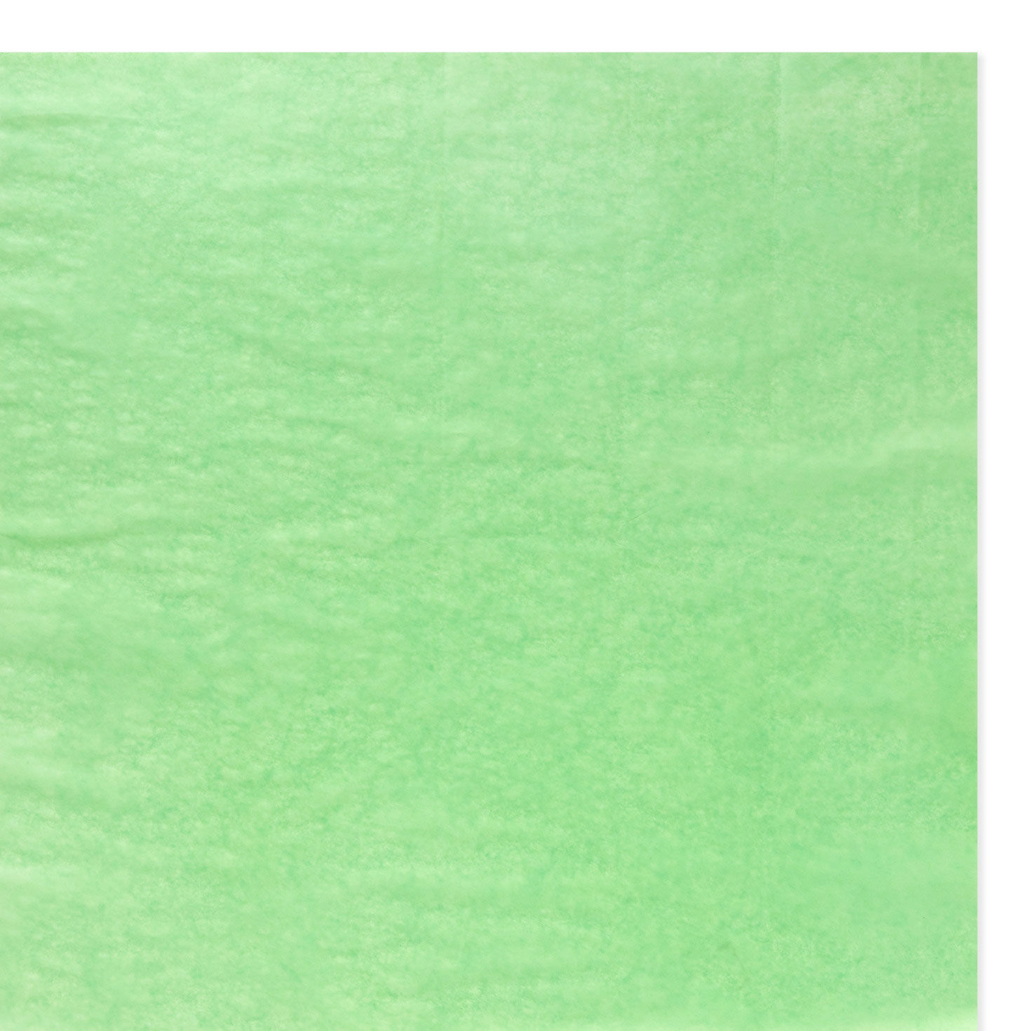 Solid Apple Green Tissue Paper, 8 sheets, Apple Green, large image number 3