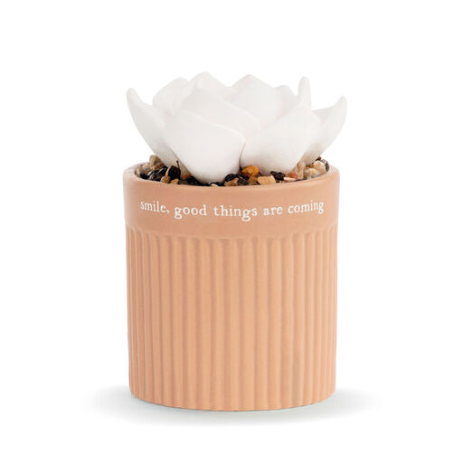 Demdaco Smile Succulent Oil Diffuser, 