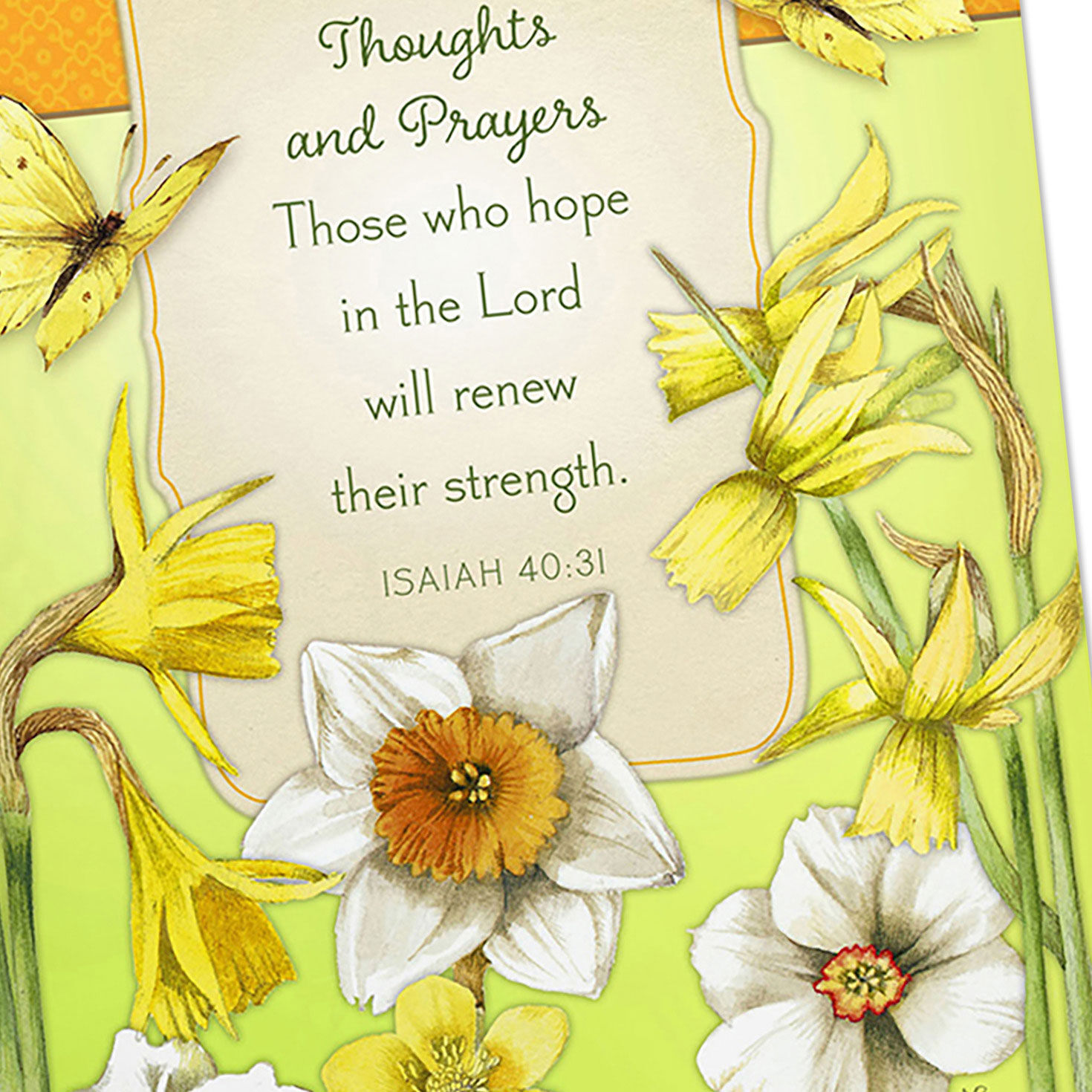Bastin Nature DaySpring Get Well Cards Assortment Cover Detail image number 5