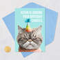 Judgmental Cat Funny Birthday Card, , large image number 4