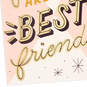 Old Friends Are the Best Friends Birthday Card, , large image number 4