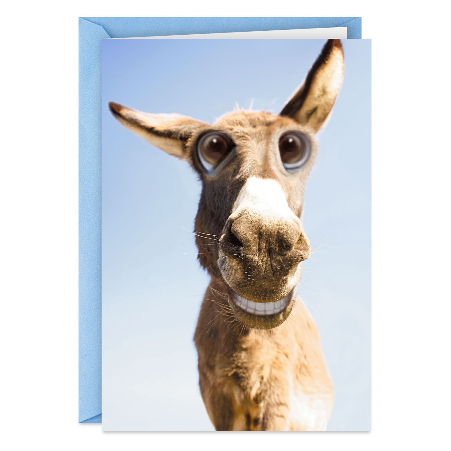 Whatever Makes Your Ass Happy Funny Birthday Card