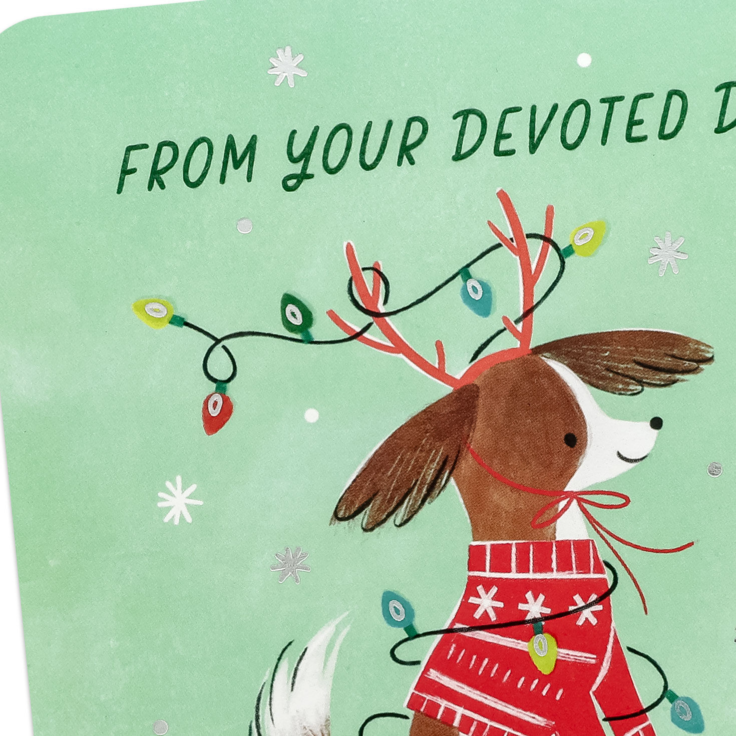 Funny Dog in String Lights Christmas Card Card Front Detail image number 4