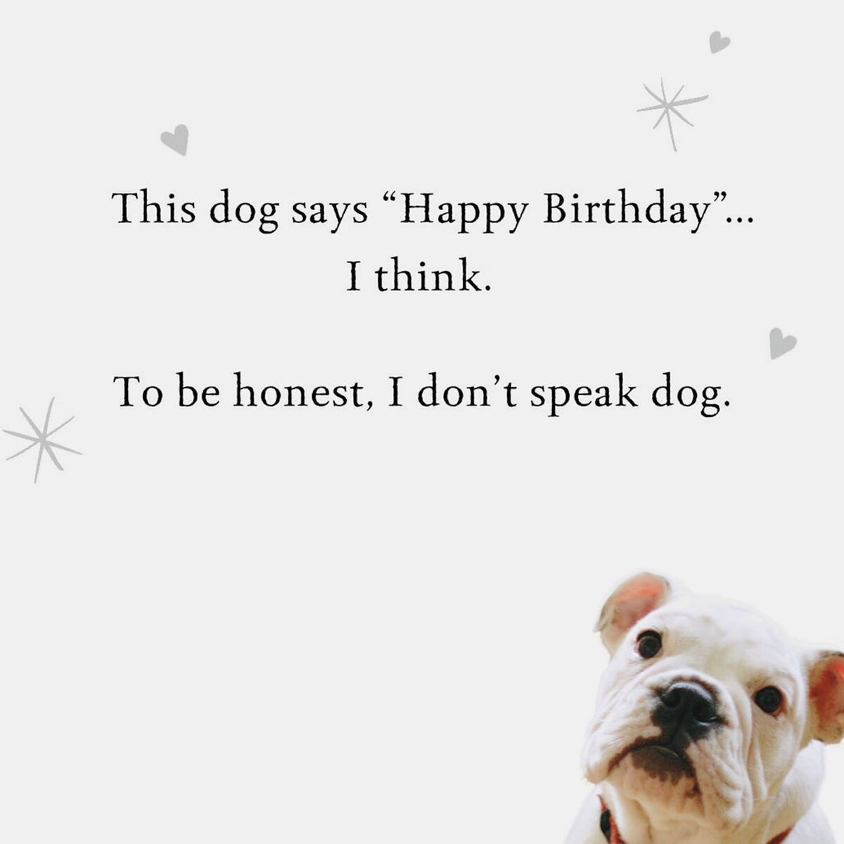 Happy Woof-Day Dog Birthday Card - Greeting Cards - Hallmark