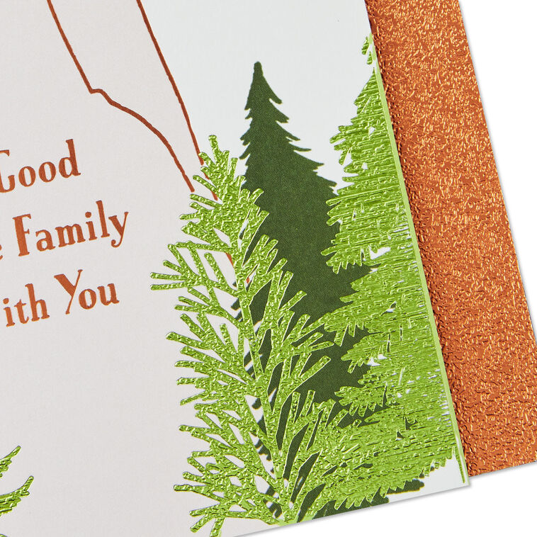 Good to Be Family Birthday Card for Brother-in-Law, , large image number 5