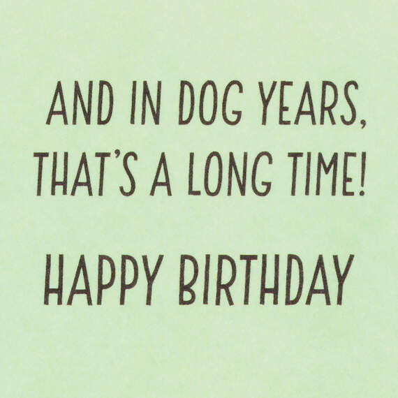 Dog Years Waiting for Cake Funny Birthday Card, , large image number 2
