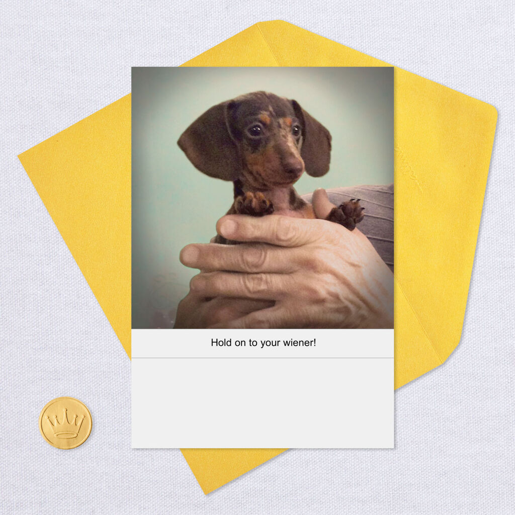Hold On Wiener Dog Funny Birthday Card Greeting Cards Hallmark