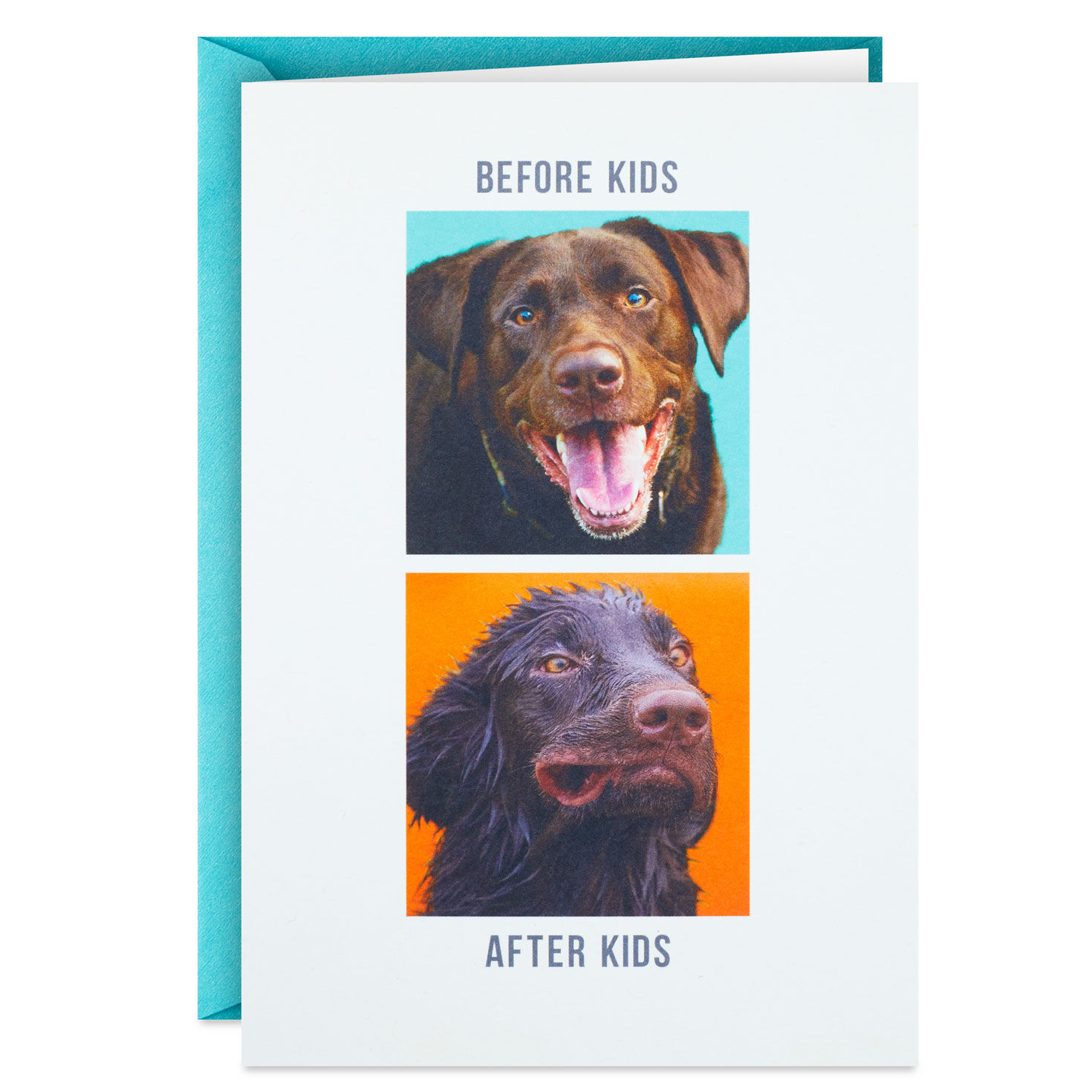 Before Kids vs After Kids Dog Funny Father's Day Card Card Front image number 1