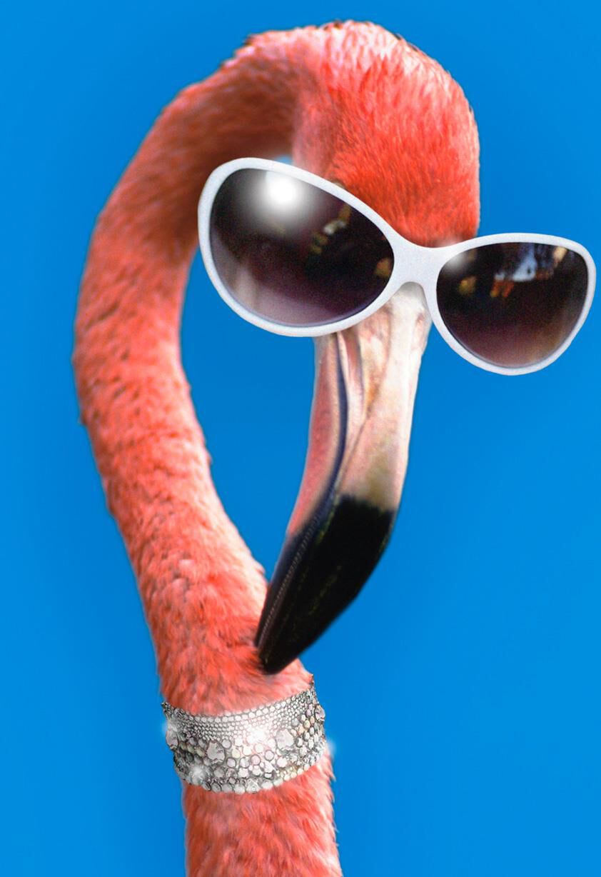 Lookin' Good Flamingo Funny Birthday Card