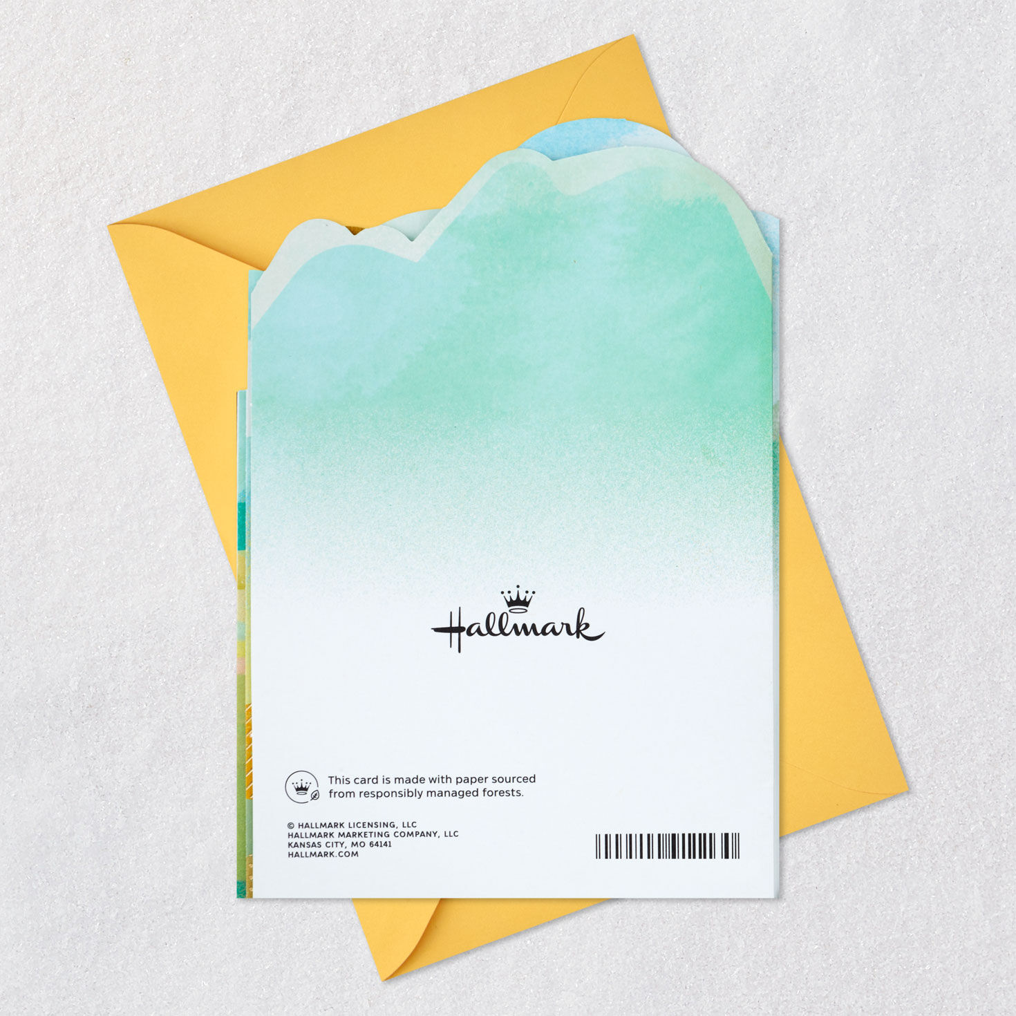 Hoping So Many Good Things Birthday Card, , large image number 12