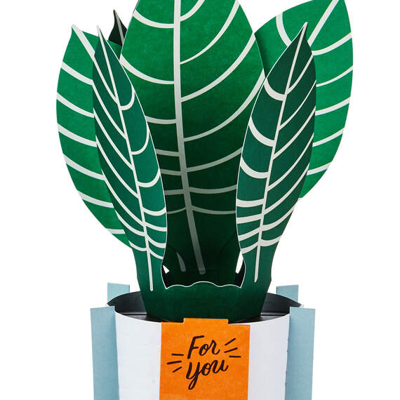 Zebra Plant Own Your Stripes 3D Pop-Up Thinking of You Card, , large image number 3