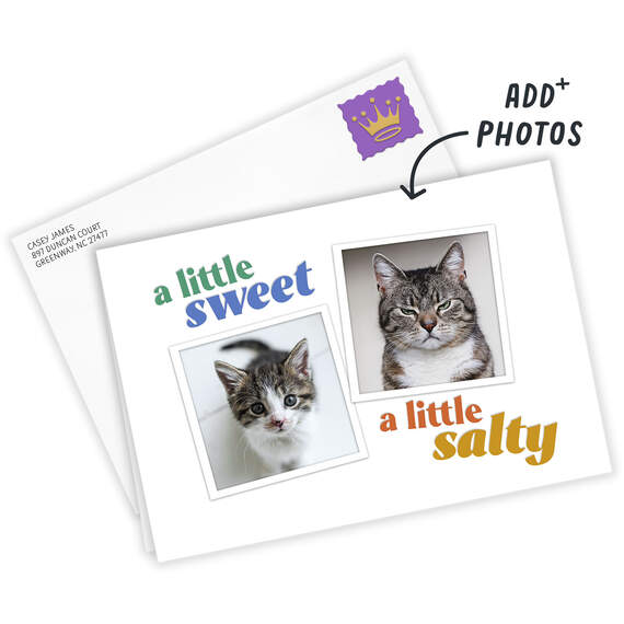 Sweet and Salty Funny Folded Photo Card, , large image number 2
