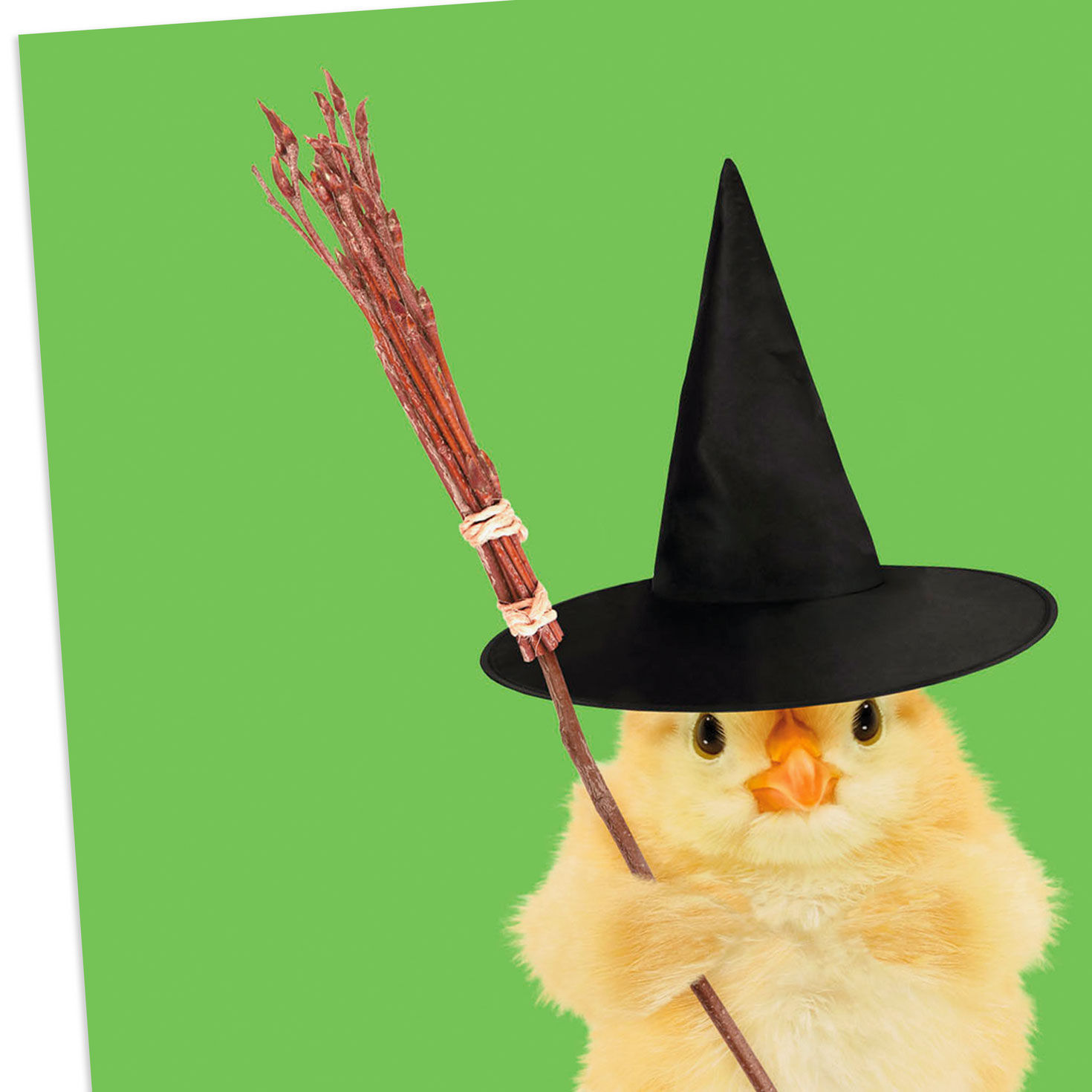 Chick in Witch Hat Funny Halloween Card Card Front Detail image number 4