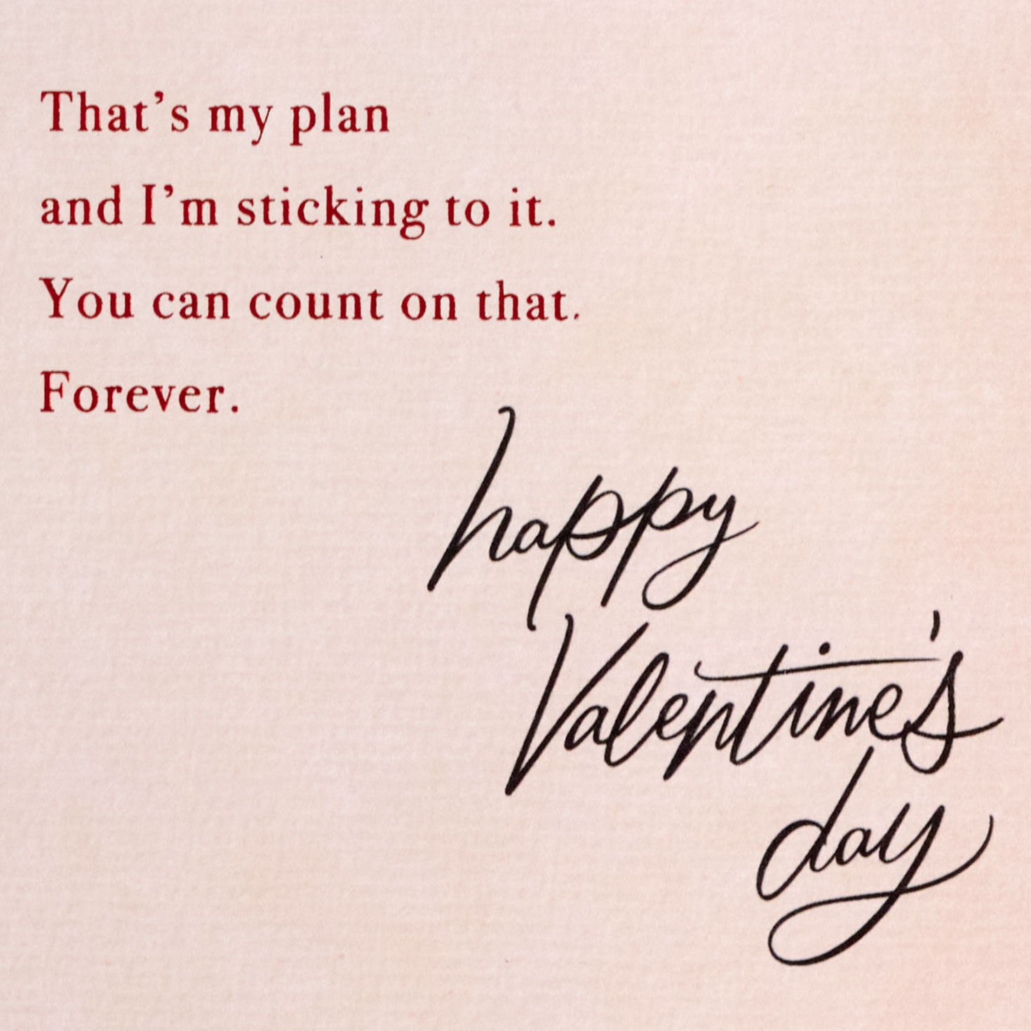 Flowers on Pink Valentine's Day Card for Wife Sentiment image number 3