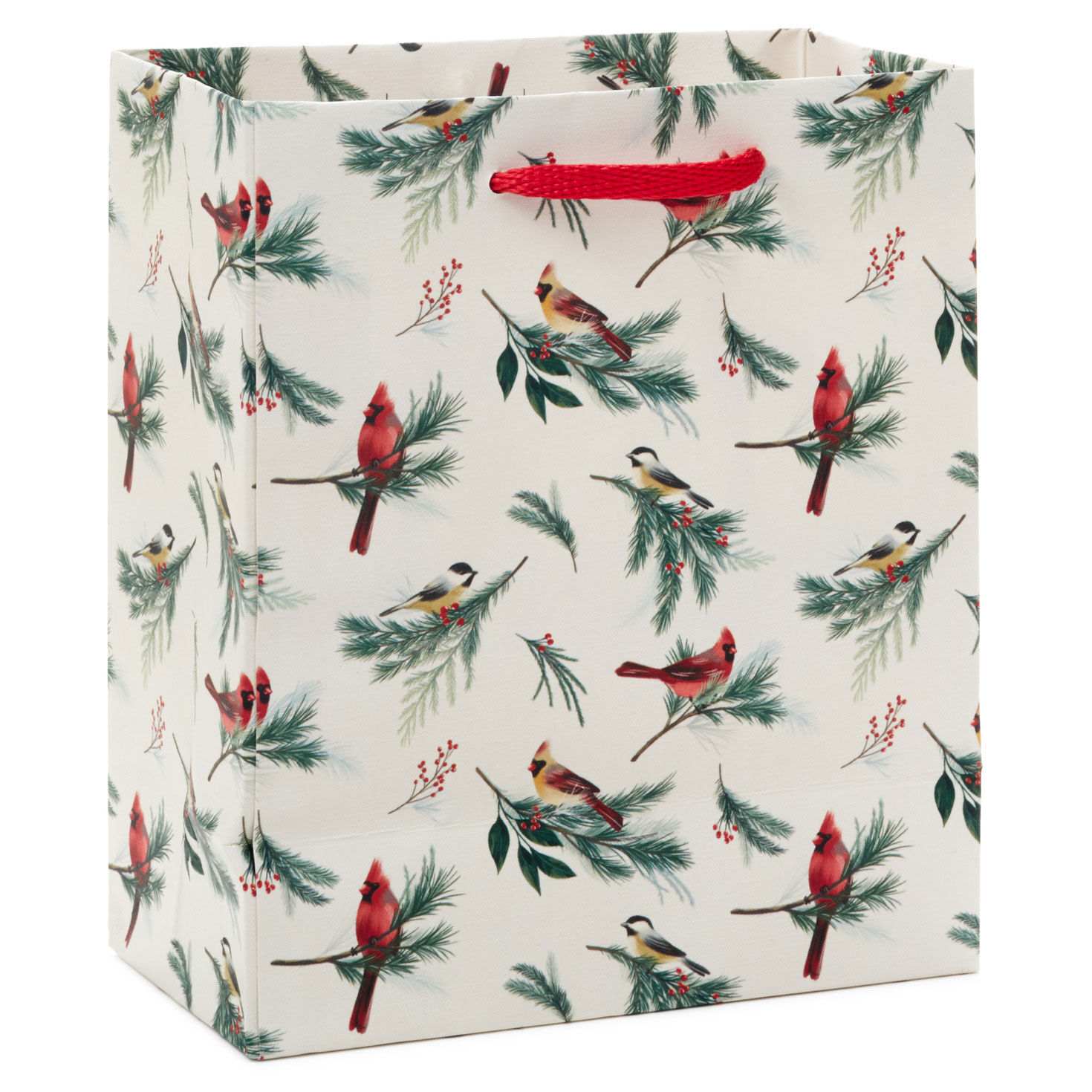 Winter Birds on Cream Small Christmas Gift Bag Back image number 6