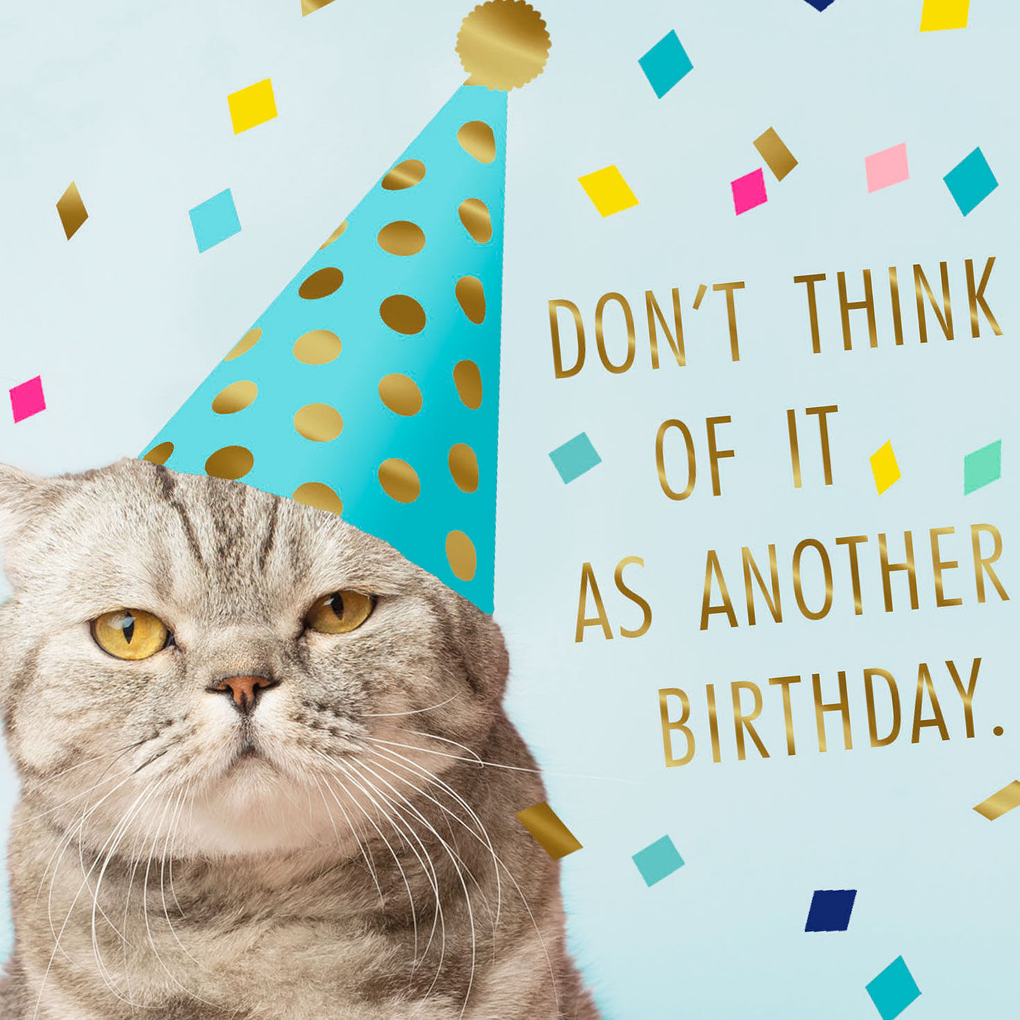 Gracing the World Funny Birthday Card Card Front Detail image number 4