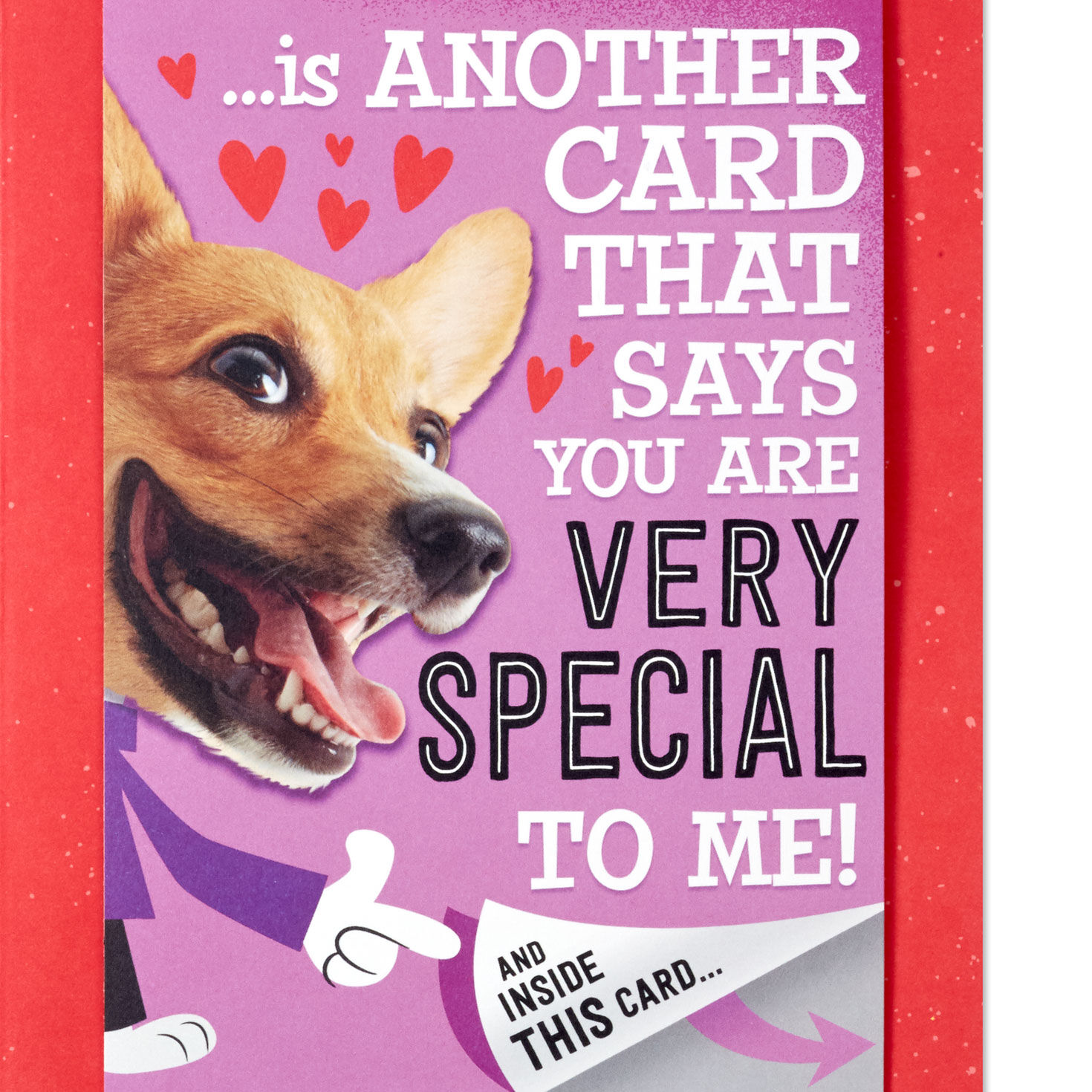 Dog Valentine's Day Card with Mini Card Sentiment image number 2