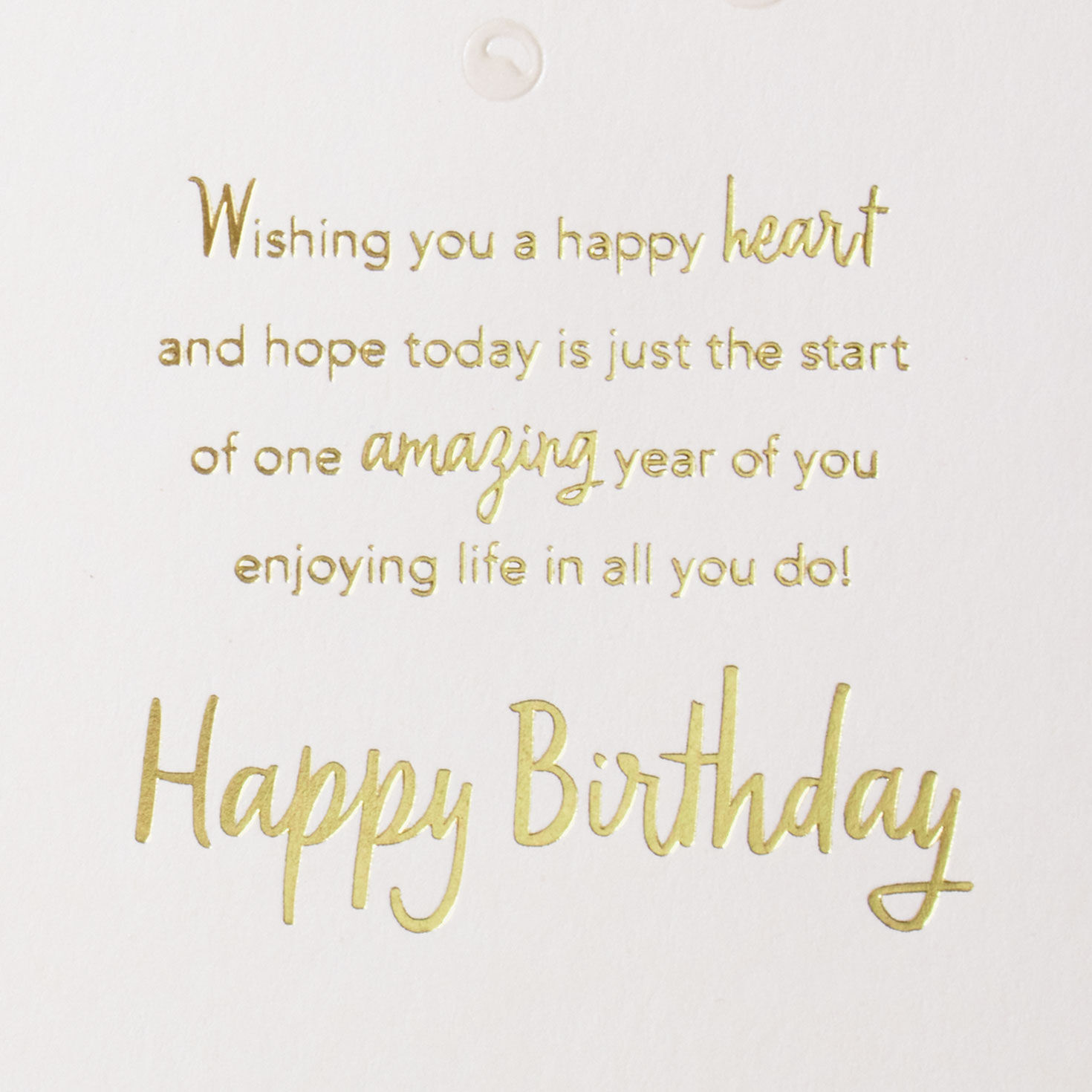 Dog Spa Day Birthday Card for Daughter-in-Law Sentiment image number 3