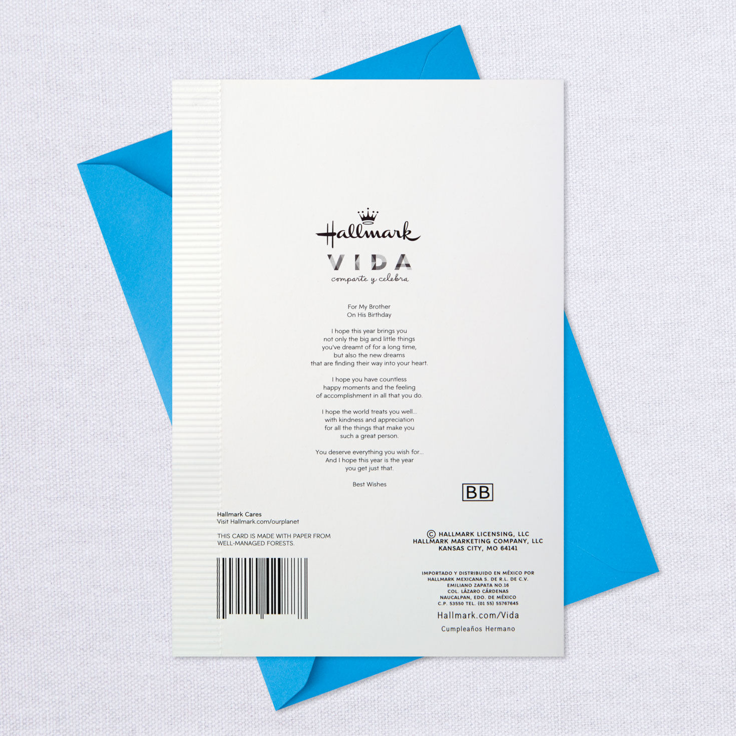 Everything You Wish For Spanish-Language Birthday Card for Brother, , large image number 8