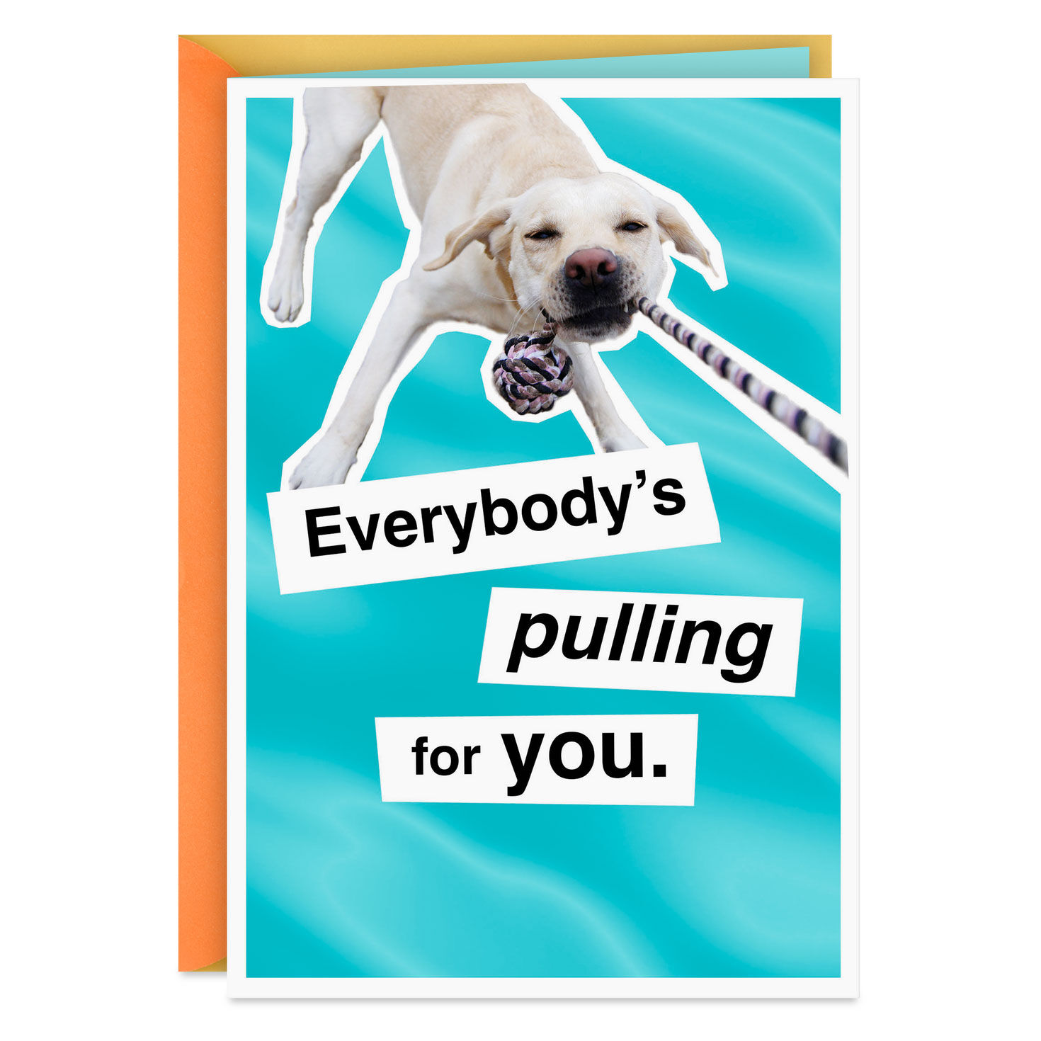 Everybody's Pulling for You Good Luck Card