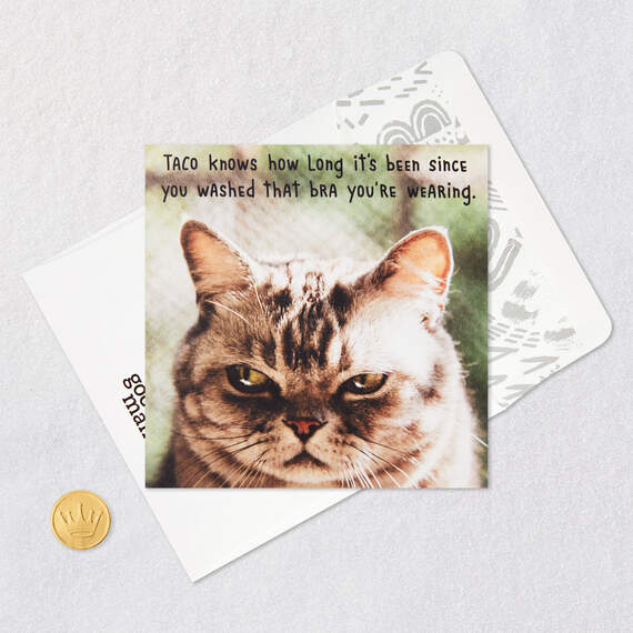 Taco the Cat Funny Birthday Card for Her - Greeting Cards