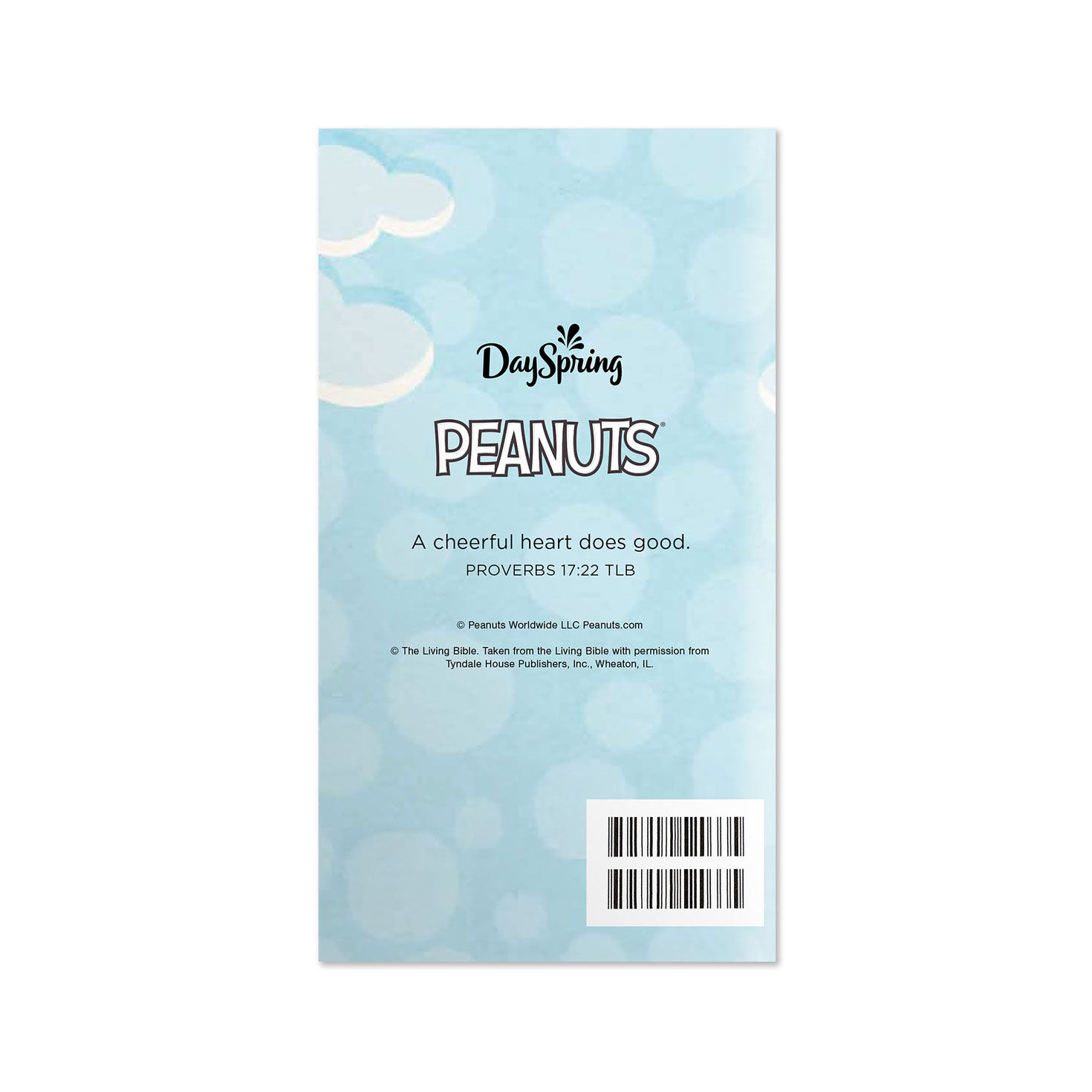 Peanuts Snoopy Balloon 2027 2028 28-Month Planner Back image number 2