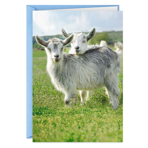 Still Just a Couple of Crazy Kids in Love Funny Love Card, 