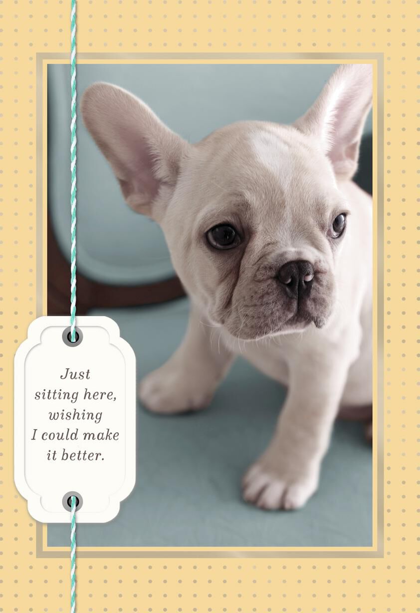 Sad White Bulldog Puppy Encouragement Card